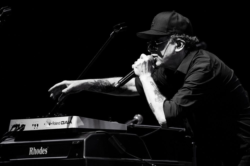 CALAMARO FOTOS