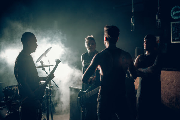 ANIMAL.Video.02