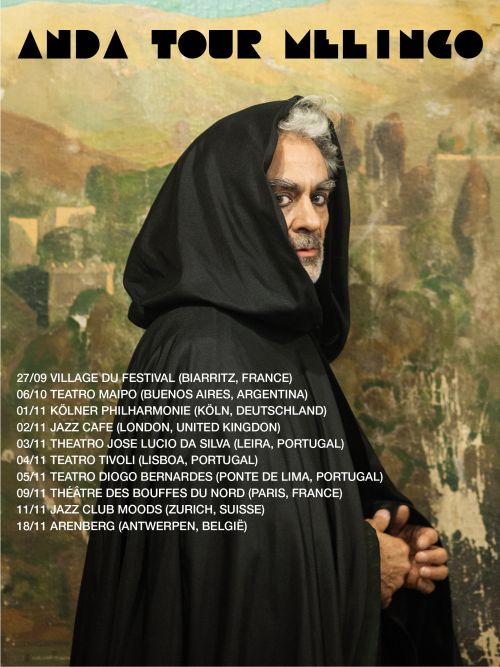 tourmelingo500
